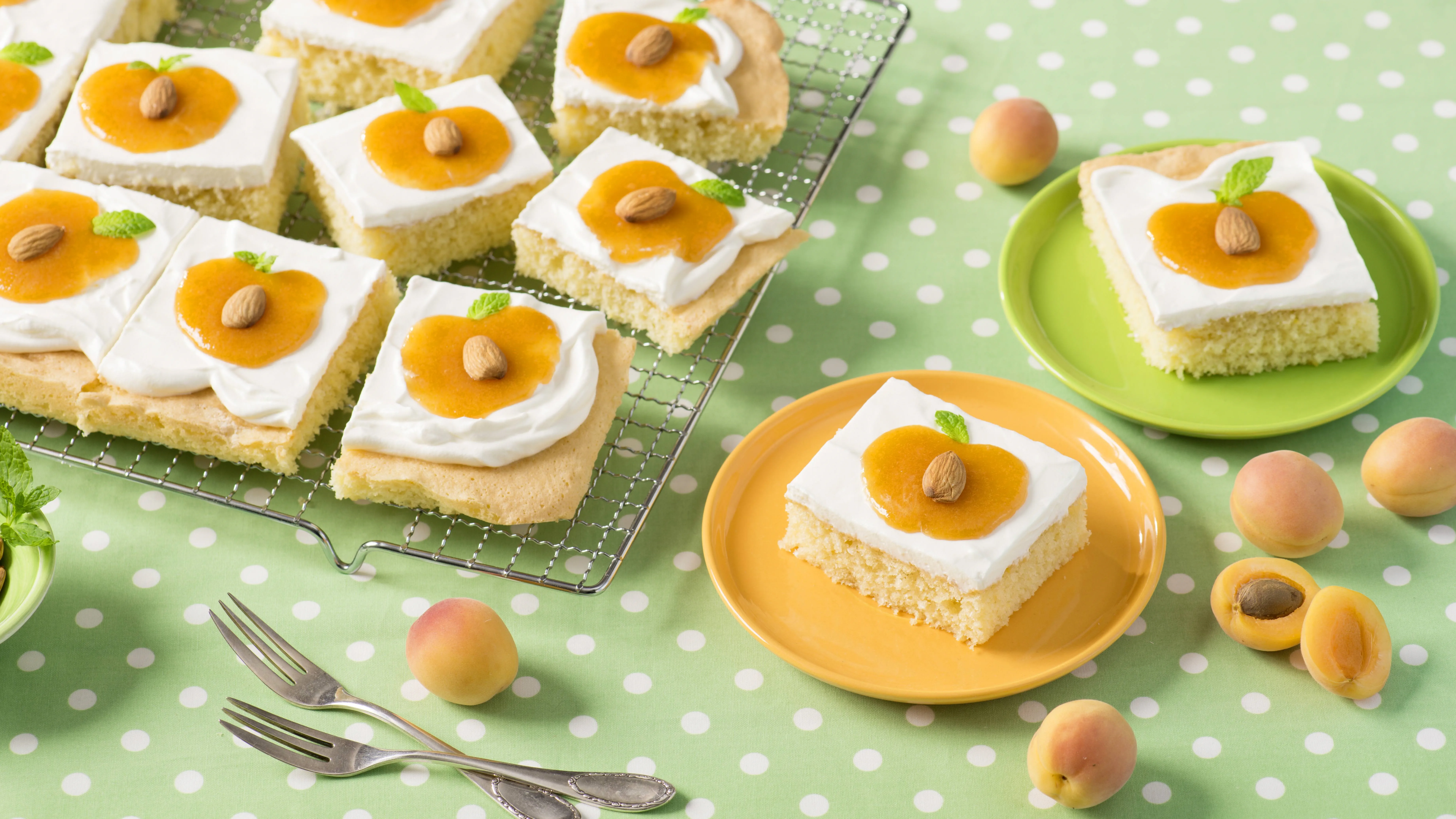 recipe image Aprikosenkuchen vom Blech