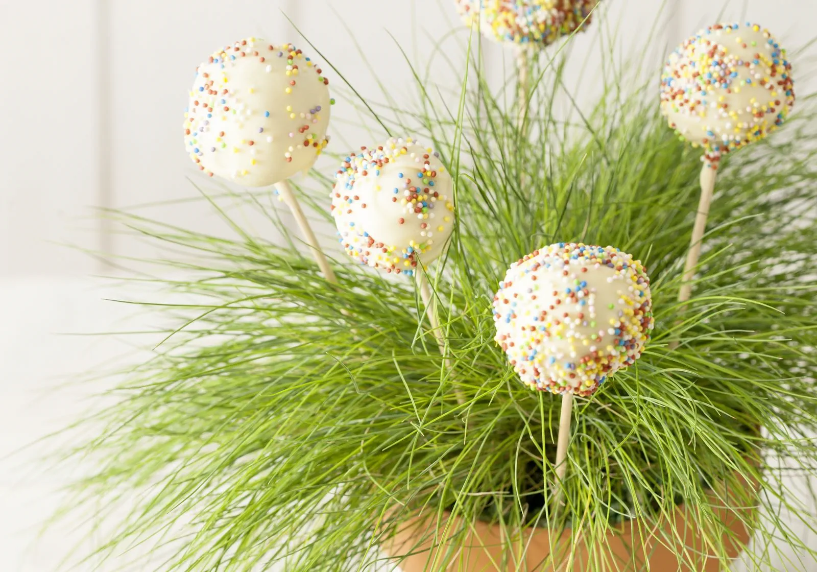 recipe image Kuchen-Lollis / Cake Pops