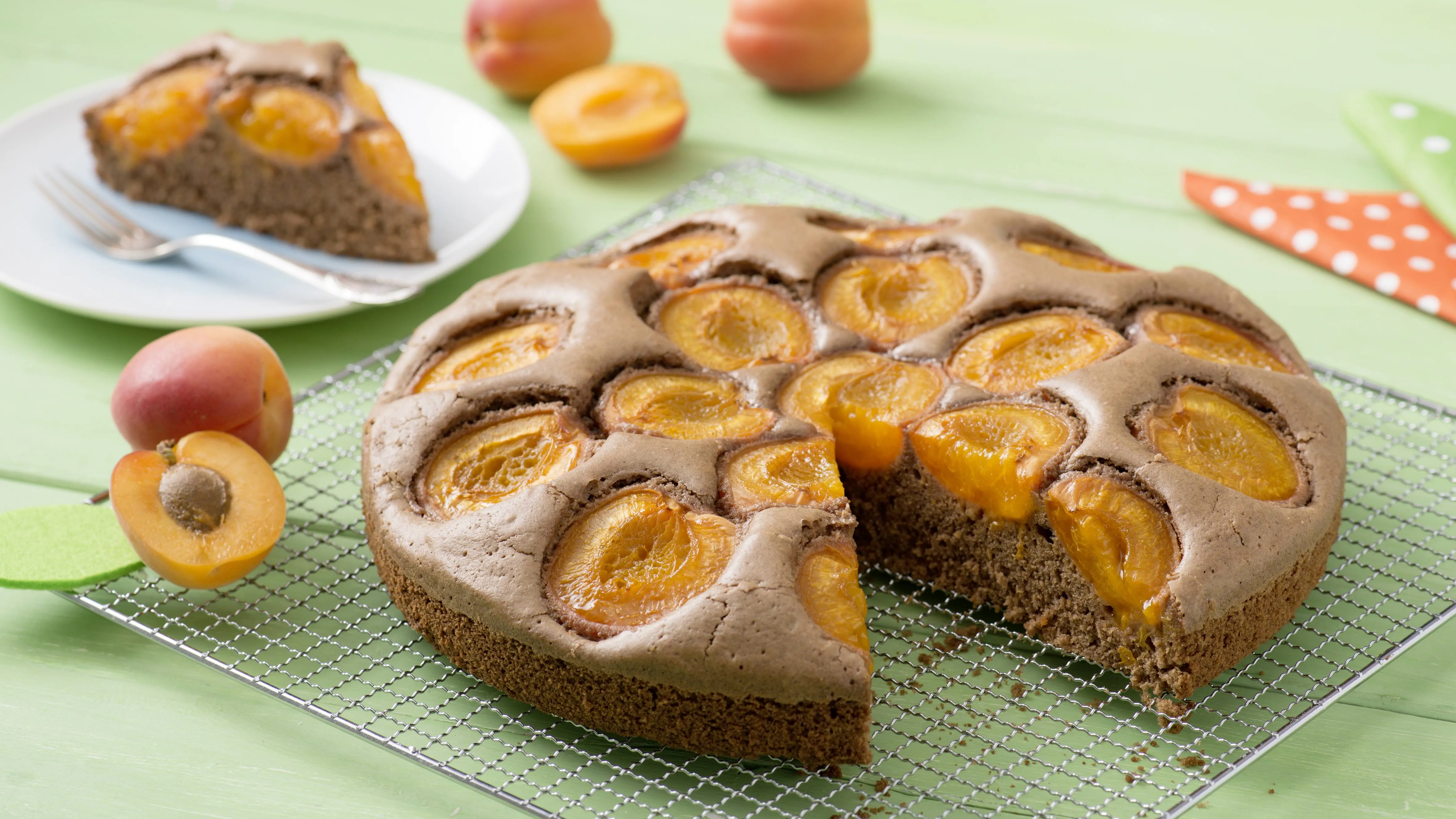 recipe image Schokoladiger Aprikosenkuchen